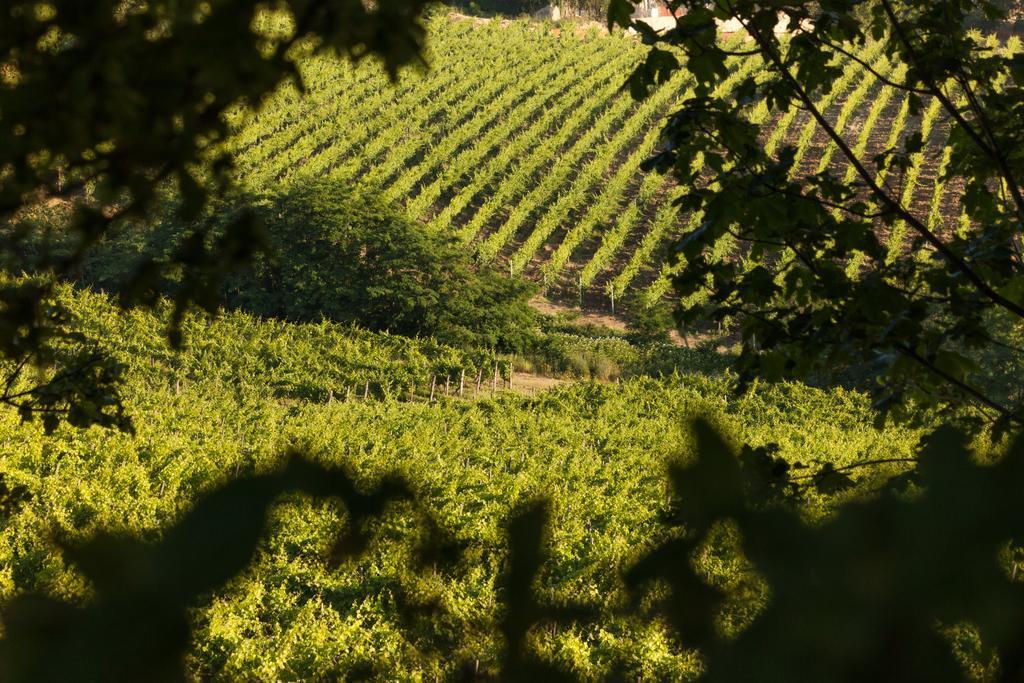 Tenuta La Meirana Gavi Exterior foto