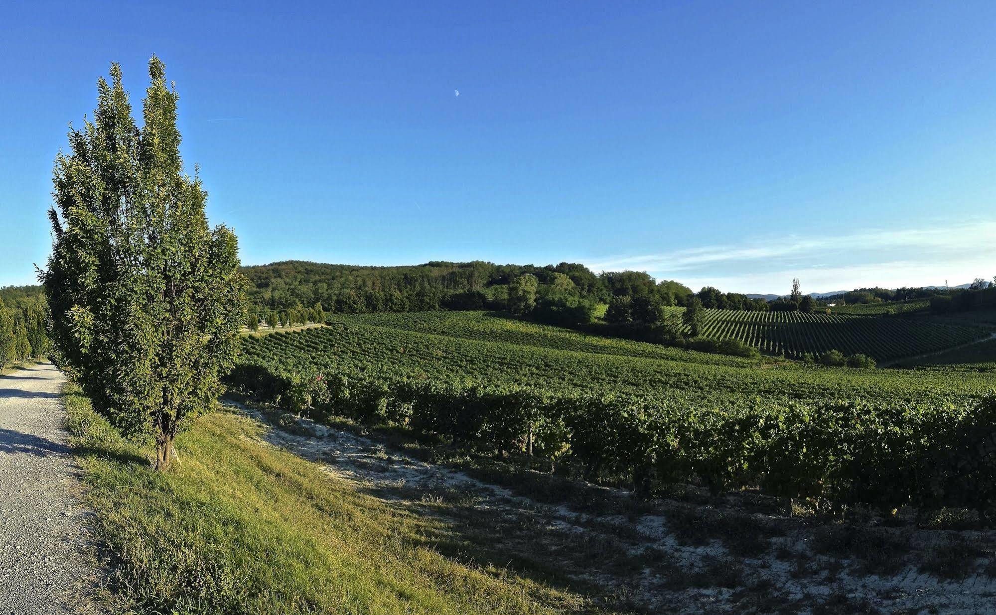 Tenuta La Meirana Gavi Exterior foto